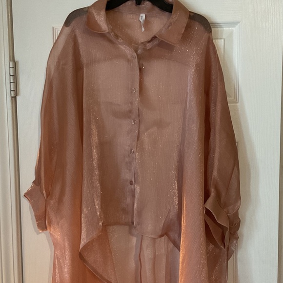 Sheer Metallic Oversized Organza Blouse - Brand New Never Worn has extra button - Picture 6 of 8
